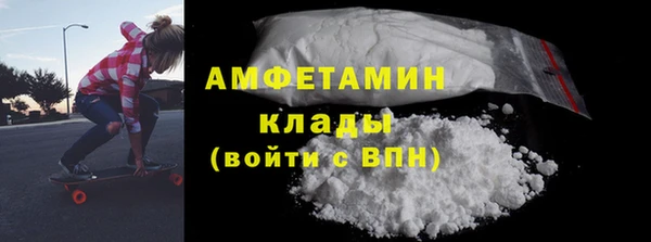 индика Арсеньев