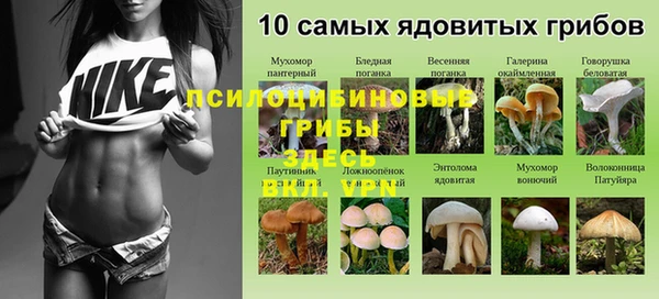 экстази Армянск