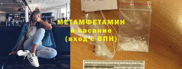 индика Арсеньев