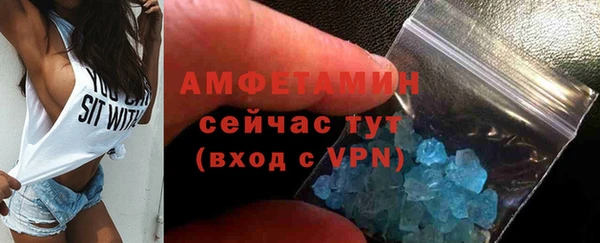 индика Арсеньев
