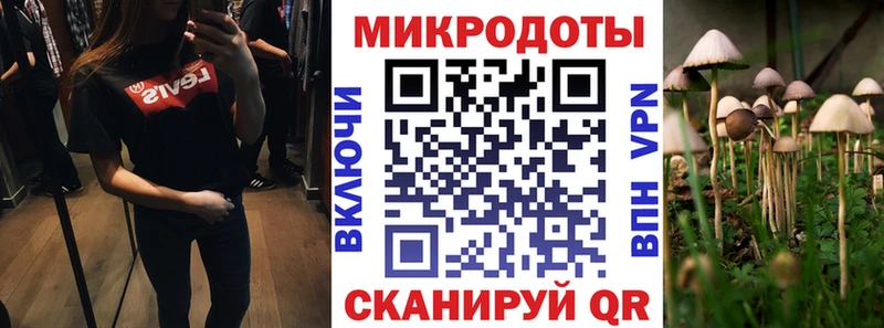купить закладку Купино Псилоцибиновые грибы MAGIC MUSHROOMS