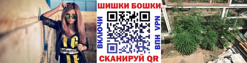 МАРИХУАНА сатива  Купино 